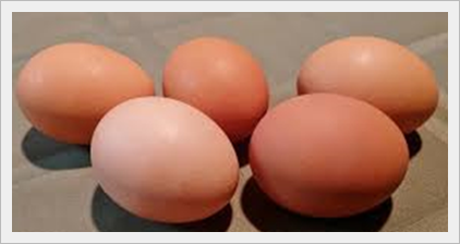 Le uova nella dieta Dukan