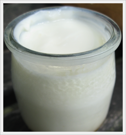 Lo yogurt nella dieta Dukan